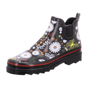 Beck Daisy