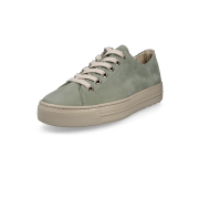 Paul Green MASTERCALF BISCUIT/ORO