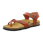 Plakton Zomba