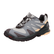 Salomon XA Rogg GTX
