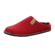ara COSY-W