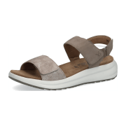 CLIMOTION Taupe Comb