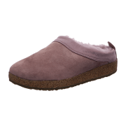 Haflinger Snowbird