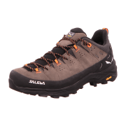 Salewa Alp Trainer 2 GTX