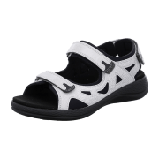 Fidelio Hi Dynamic H