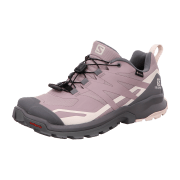 Salomon Schuhe XA ROGG 2 GTX W Quail/F