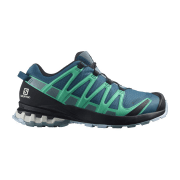 Salomon XA Pro 3D v8 GTX W