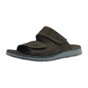 Rohde Olive