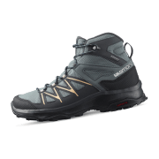 Salomon Schuhe DAINTREE MID GTX W StoW