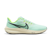 Nike Air Zoom Pegasus 39