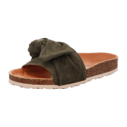 Verbenas Roxy