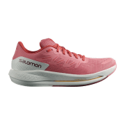 Salomon Spectur