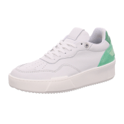 Palpa white-green (weiß-grün)