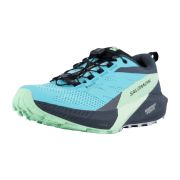 Salomon Schuhe SENSE RIDE 5 GTX W Blra
