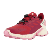 Salomon Supercross 4 GTX W