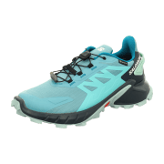 Salomon 4 GTX W