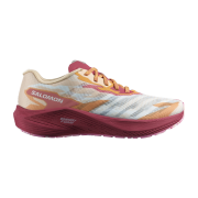 Salomon Aero Volt