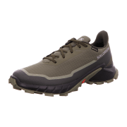 Salomon Alphacross 5 GTX Low