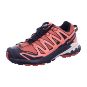 Salomon v9 GTX W