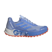 adidas Terrex Agravic Flow 2 GTX