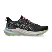 asics GT-2000 12 TR