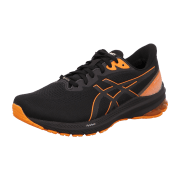 asics GT-1000 12 GTX