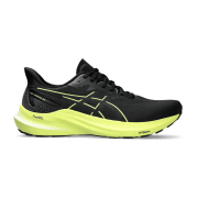 asics GT-2000 12