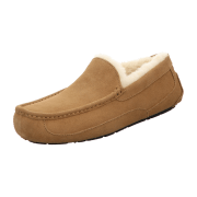 UGG ASCOT CHESTNUT
