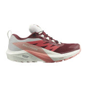 Salomon Sense Ride 5 GTX