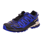 Salomon XA Pro Schuhe blau schwarz GORE-TEX 472703