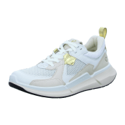 Ecco BIOM 2.2 W